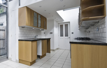 Rhydd Green kitchen extension leads